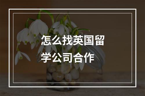 怎么找英国留学公司合作