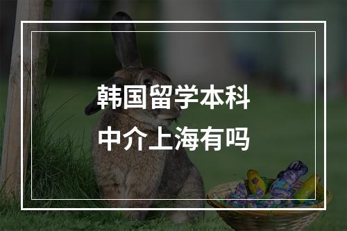 韩国留学本科中介上海有吗