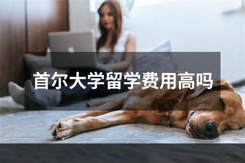 首尔大学留学费用高吗