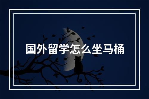 国外留学怎么坐马桶