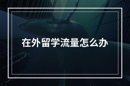 在外留学流量怎么办