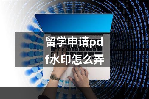 留学申请pdf水印怎么弄