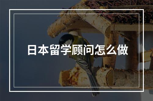 日本留学顾问怎么做