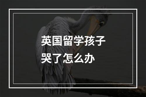 英国留学孩子哭了怎么办