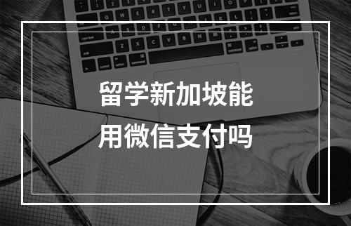 留学新加坡能用微信支付吗