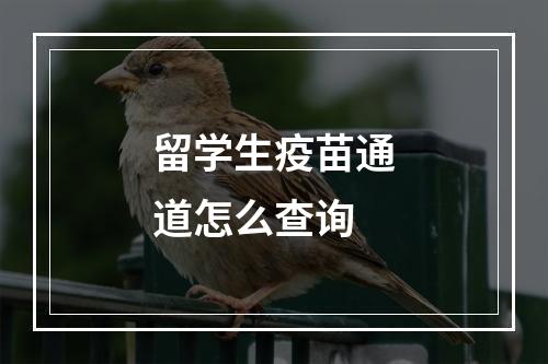 留学生疫苗通道怎么查询