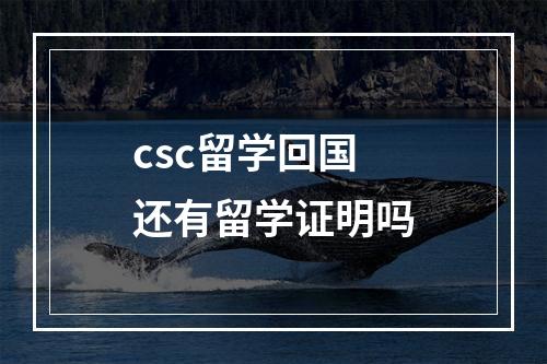 csc留学回国还有留学证明吗