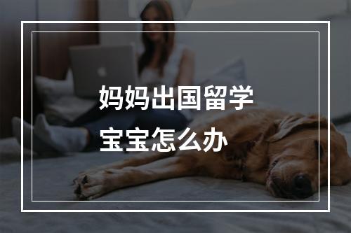 妈妈出国留学宝宝怎么办