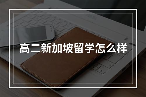 高二新加坡留学怎么样