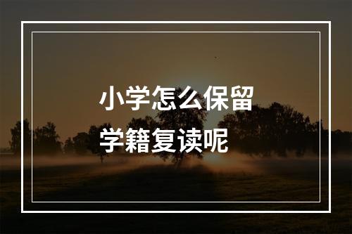 小学怎么保留学籍复读呢