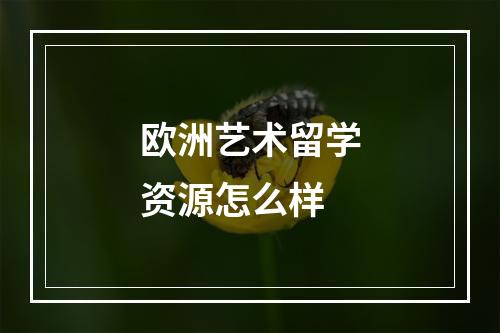 欧洲艺术留学资源怎么样