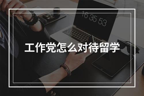 工作党怎么对待留学