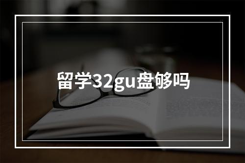 留学32gu盘够吗