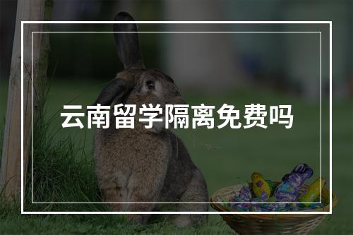 云南留学隔离免费吗