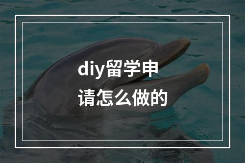 diy留学申请怎么做的