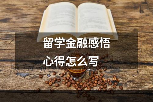 留学金融感悟心得怎么写