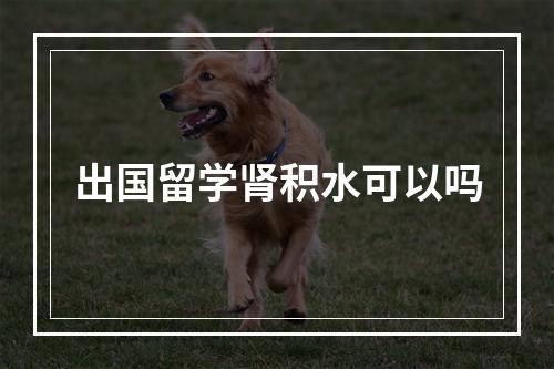 出国留学肾积水可以吗