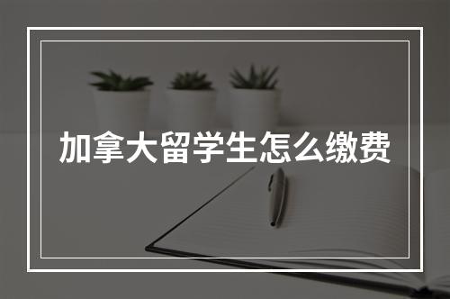 加拿大留学生怎么缴费