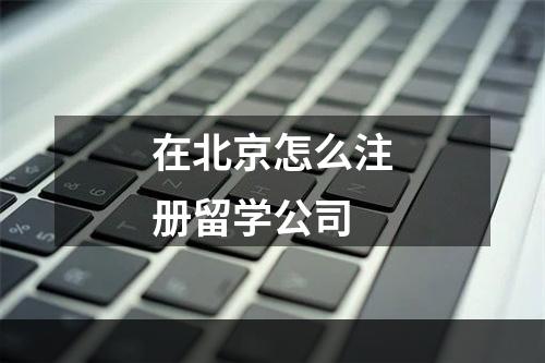 在北京怎么注册留学公司