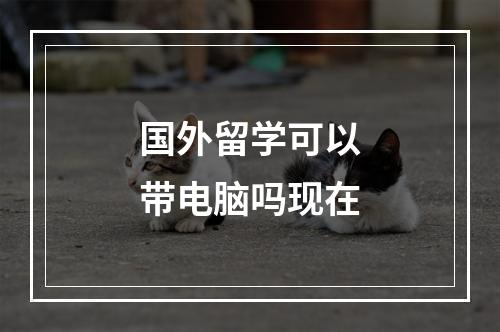 国外留学可以带电脑吗现在