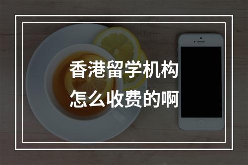 香港留学机构怎么收费的啊