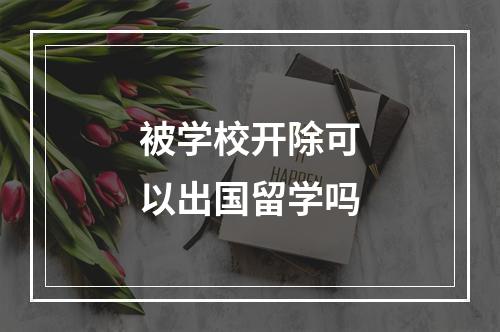 被学校开除可以出国留学吗