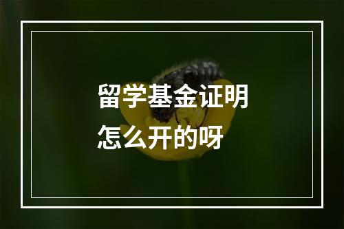 留学基金证明怎么开的呀