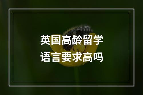 英国高龄留学语言要求高吗