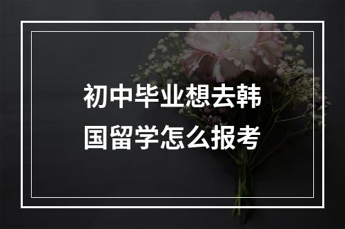 初中毕业想去韩国留学怎么报考