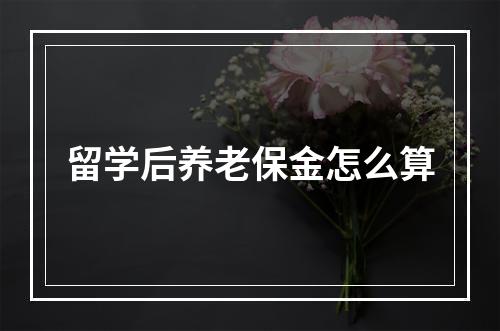 留学后养老保金怎么算