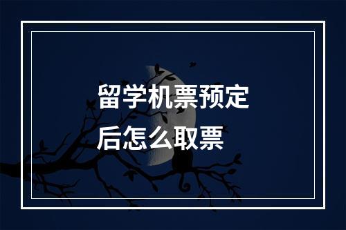 留学机票预定后怎么取票