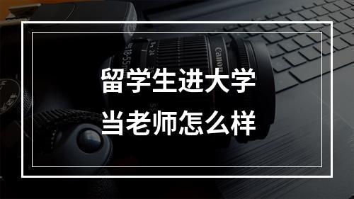 留学生进大学当老师怎么样