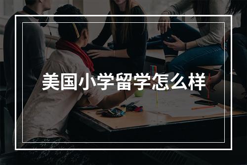 美国小学留学怎么样