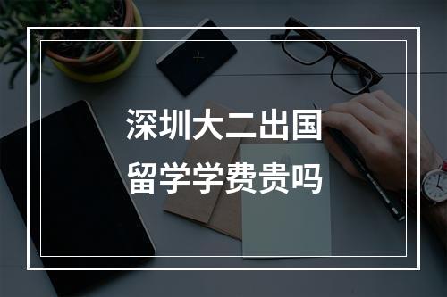 深圳大二出国留学学费贵吗