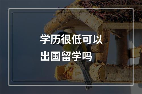 学历很低可以出国留学吗