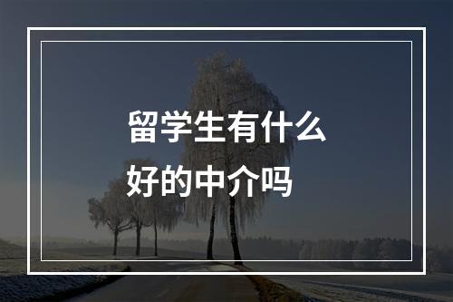 留学生有什么好的中介吗