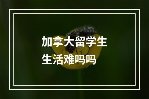 加拿大留学生生活难吗吗