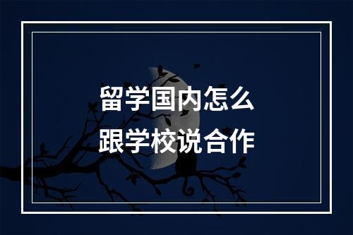 留学国内怎么跟学校说合作