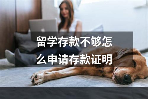 留学存款不够怎么申请存款证明