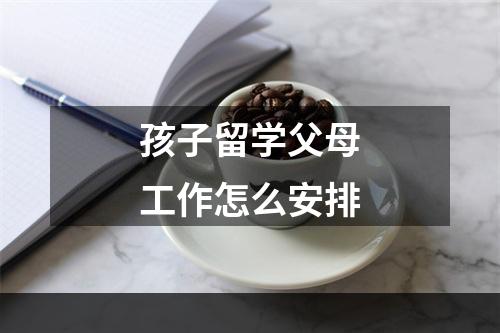 孩子留学父母工作怎么安排