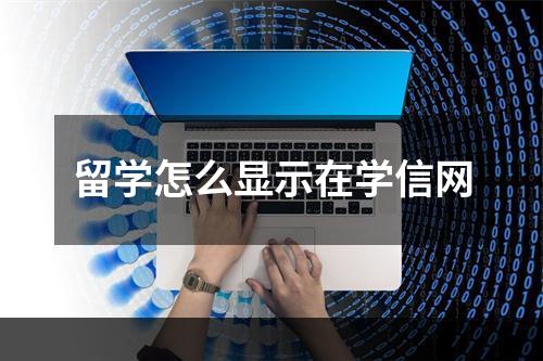 留学怎么显示在学信网