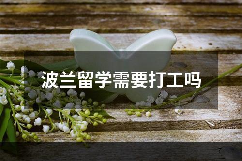 波兰留学需要打工吗