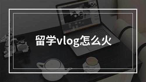 留学vlog怎么火