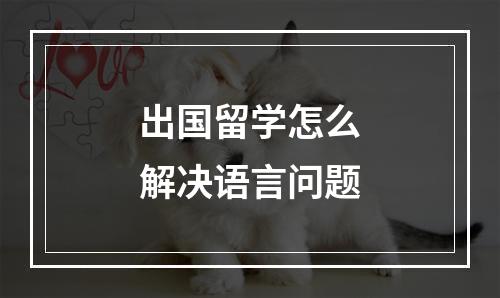 出国留学怎么解决语言问题