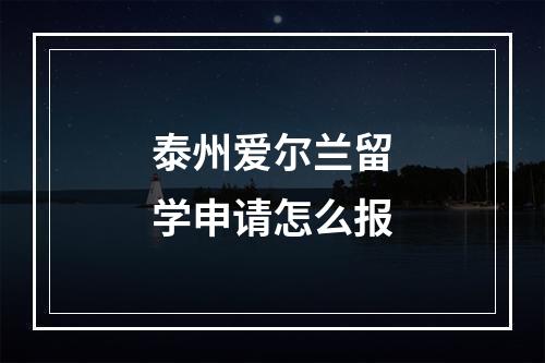 泰州爱尔兰留学申请怎么报