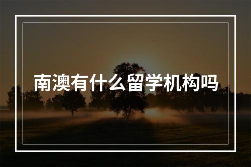 南澳有什么留学机构吗