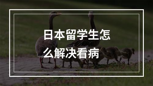 日本留学生怎么解决看病