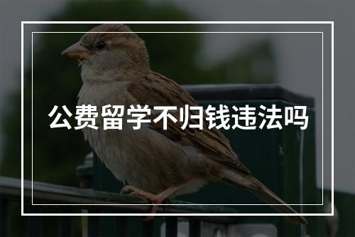 公费留学不归钱违法吗