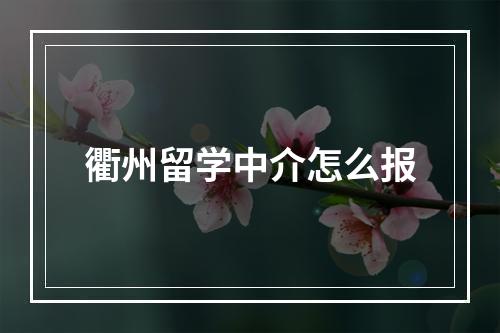 衢州留学中介怎么报