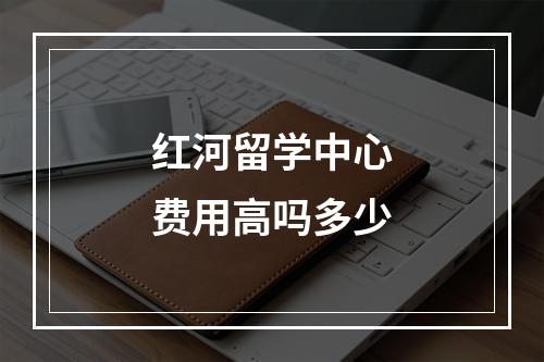 红河留学中心费用高吗多少